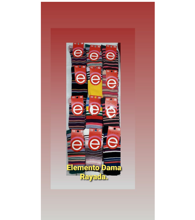 Medias Rayadas ELEMENTO Mujer x Docena